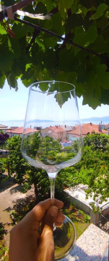 Apartament Niksa Rijeka Zewnętrze zdjęcie